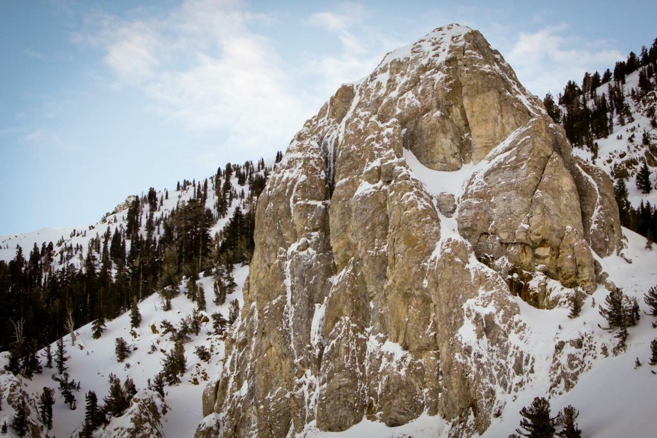 Wildflower 55 Mammoth Lakes Exterior photo